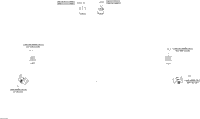 Electrical Harness Rear - 710005544