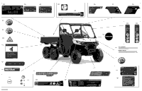 Body - Decals - Xt