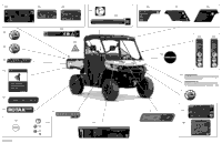 Body - Decals - Xt