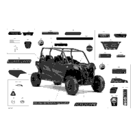 Decals - 1000R - Package Dps