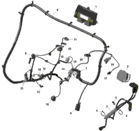 Rotax - Engine Harness And Electronic Module