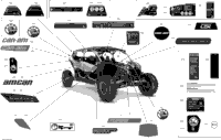 Decals - Xrs