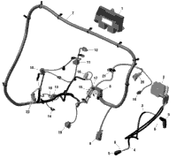 Rotax - Engine Harness And Electronic Module
