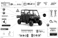 Body - Decals