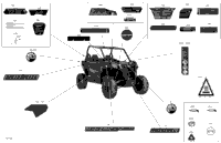 Decals - 1000R - Package Dps
