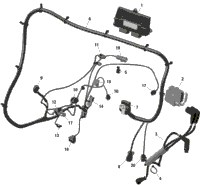 Rotax - Engine Harness And Electronic Module