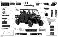 Body - Decals