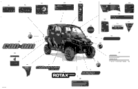Decals - 1000R - Ltd