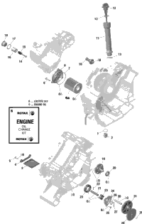 Engine Lubrication