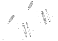 Shocks - Package Base - Dps - Xt- Pro- Pro International