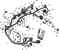 Rotax - Engine Harness And Electronic Module