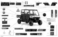 Body - Decals - Dps