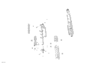 Suspension - Rear Shocks - Ds