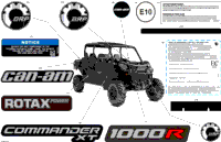 Body - Decals