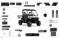 Body - Decals - Xt