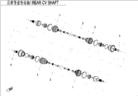 Rear Cv Shaft(Odm)