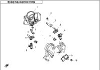 Fuel Injection System