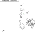 Fuel Injection System