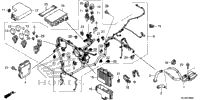 Wire Harness