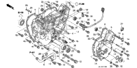 Rear Crankcase Cover