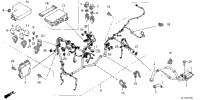 Wire Harness