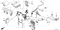 Wire Harness
