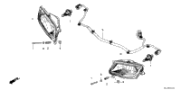 Headlight (Halogen)