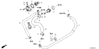 Water Hose@Thermostat