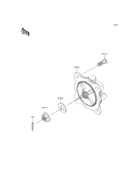Rear Hubs/Brakes