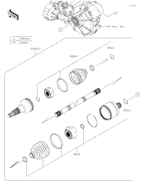 Drive Shaft-Rear