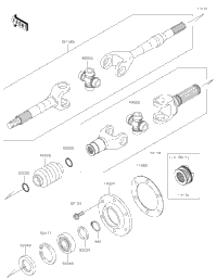 Drive Shaft-Rear