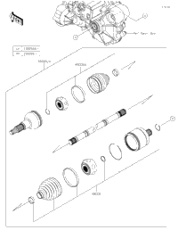 Drive Shaft-Rear