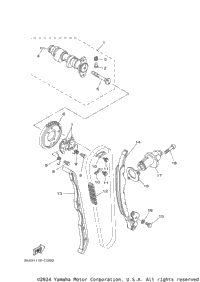 Camshaft Chain