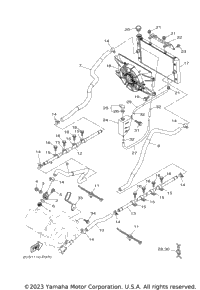 Radiator Hose