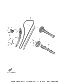 Camshaft & Chain