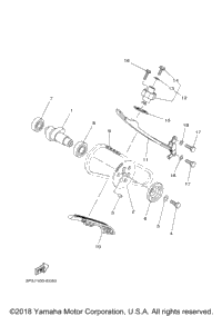 Camshaft Chain