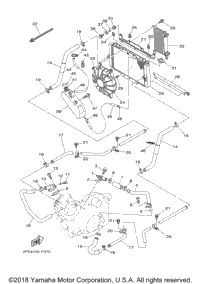 Radiator Hose