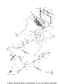 Radiator Hose