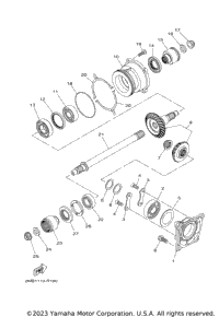 Middle Drive Gear