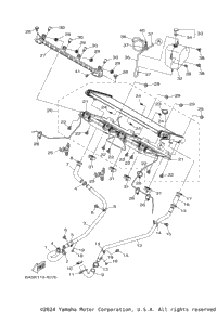 Radiator & Hose
