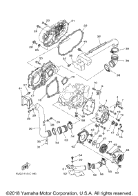 Crankcase Cover 1