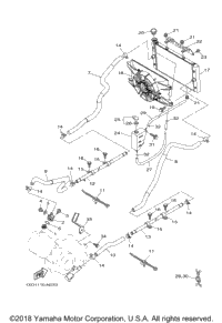 Radiator Hose