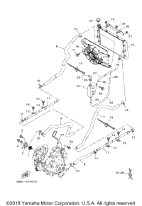 Radiator Hose