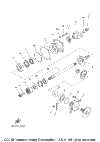 Middle Drive Gear