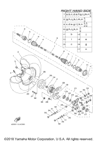 Rear Wheel 2
