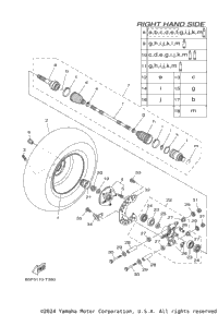 Rear Wheel 2