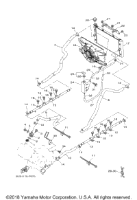 Radiator Hose