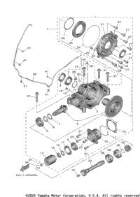 Drive Shaft