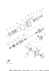 Middle Drive Gear