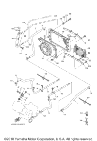 Radiator Hose